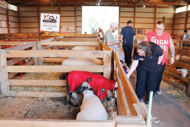 Picture This: Sights From the 2025 Barlow Fair